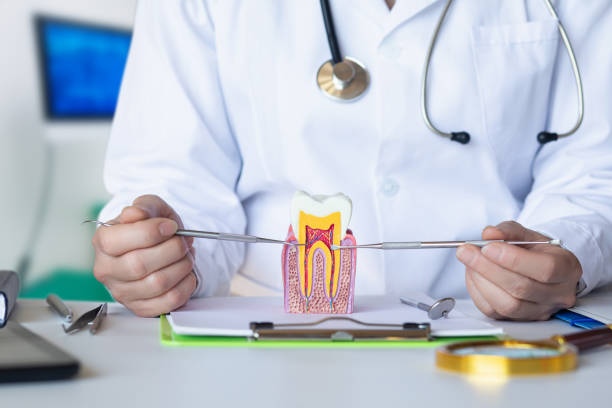 Best Emergency Dental Care for Broken or Chipped Teeth in Chesapeake, WV